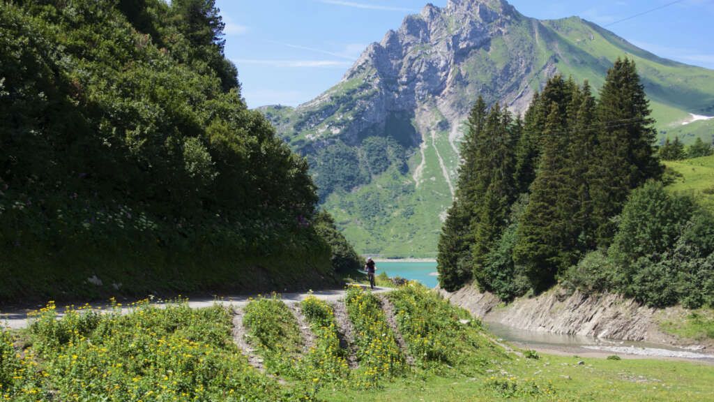 Spullersee Einlauf Alpbach